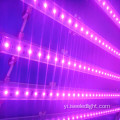 מאַדריקס קאַמפּאַטאַבאַל DMX LED RGB פּיקסעל באַר